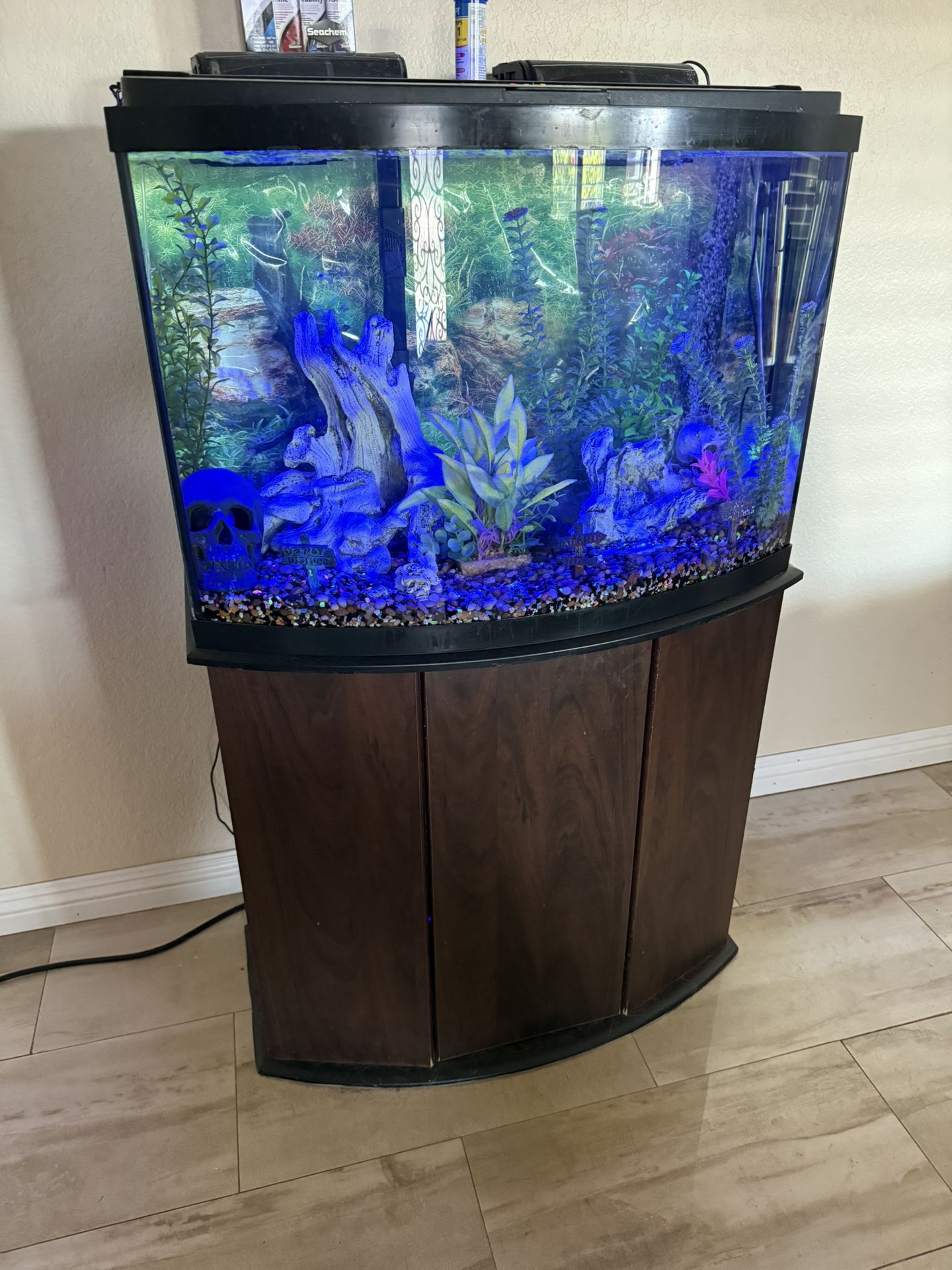 36 Gallon Bow Fish tank
