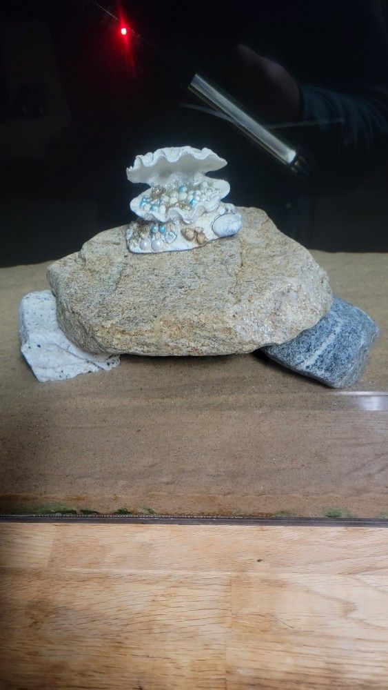 Fish Tank Decor 