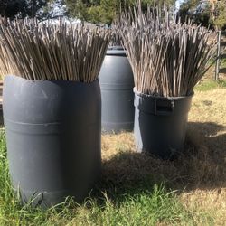 3  Barrels Of Bamboo.  $60 Each 
