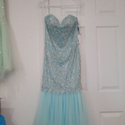 Strapless Evening/Prom Dress