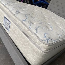 Queen Mattress Pillowtop Only 