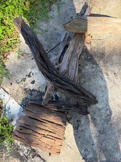 Driftwood pieces