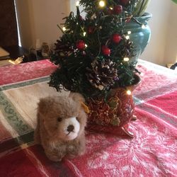 Vintage Steiff Browny Bear