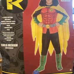 Robin Halloween Costume 