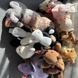 TY Beanie baby. Cow, Skunk, Lamb And More