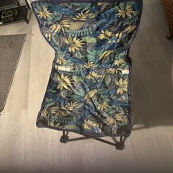 All Purpose Out Door Chair