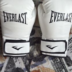 Everlast Boxing Gloves (Near New)