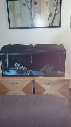 55 gallon fish tank plus decor.