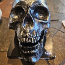  Motion Activation Talking Skull. Chandler 
