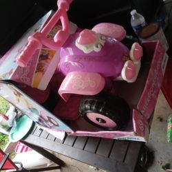 Brand New Princess Fourwheeler