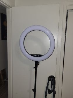 Studio Lighting $20