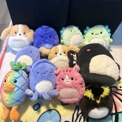 Squishmallow Bundle