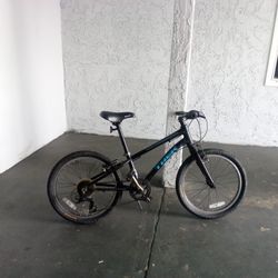 Trek Butterfly Bike
