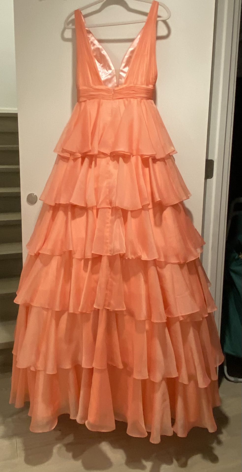Disney Princess Adult Prom Dress 