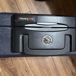 Sentry Safe - WO