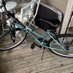 Green Bicycle 26in
