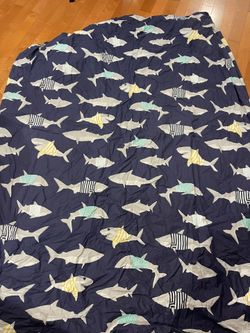Pottery barn Kids Duvet Cover