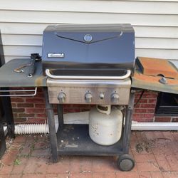 Stainless barbecue grill
