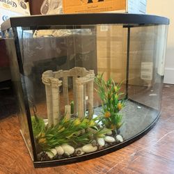 Beautiful Curved Glass Aquarium – Includes 2 Filters & All Decorations