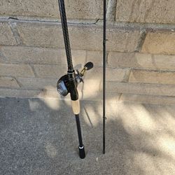 Fishing Pole With Reel