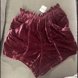 Free People Velvet High Waist Shorts in Burgundy