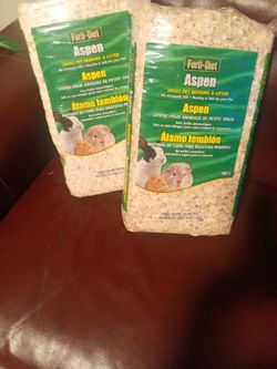 Aspen Betty And Litter