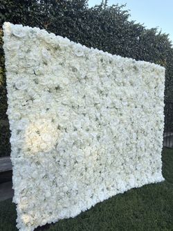 White Flower wall