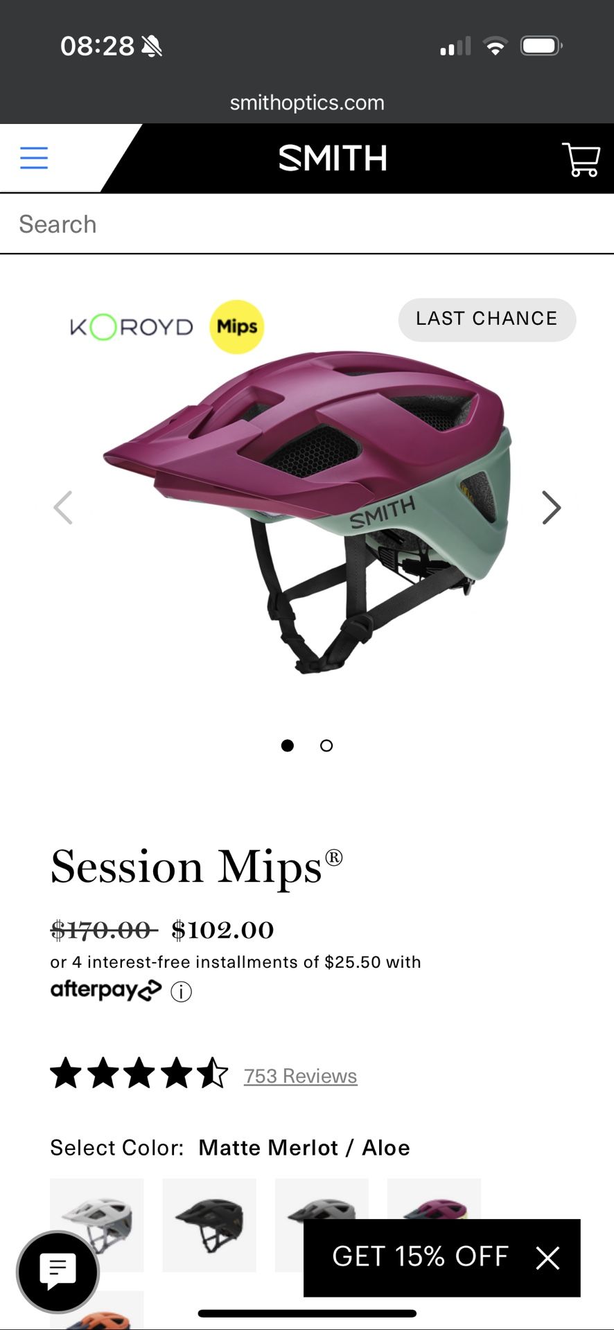 Smith Session Helmet