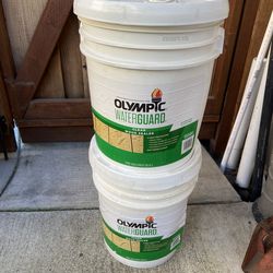 Olympic Clear Wood Sealer 5 Gallon