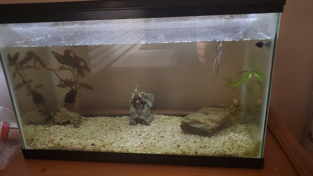 10 gallons fish tank FREE