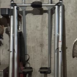 Gazelle Exercise Glider