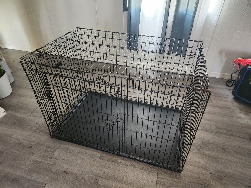 Dog Cage