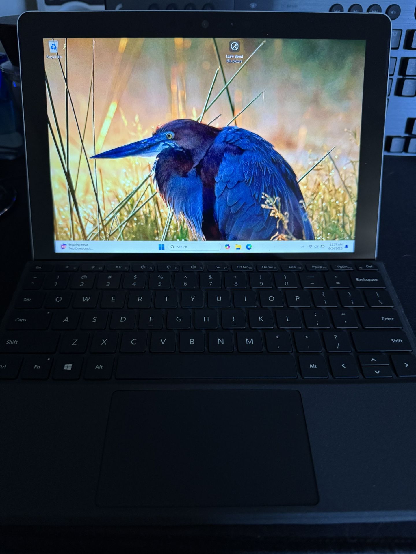 Microsoft Surface Go (1st Gen)
