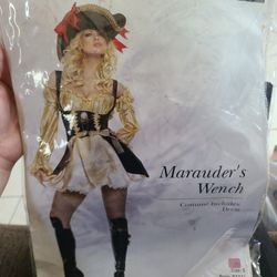 Wench/Pirate Costume