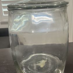 GLASS JAR. 2 GALLONS 