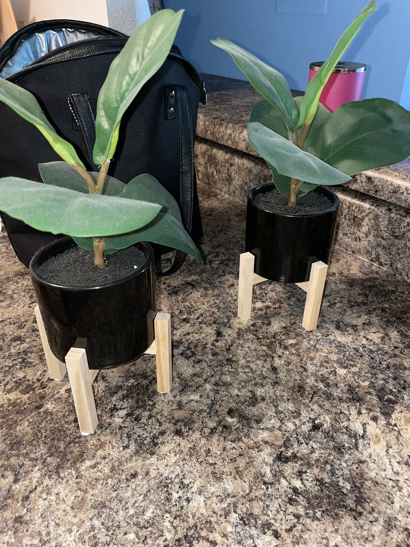 2 Artificial Plants, An Gold Decor Ball 
