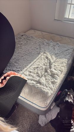 Queen Size Mattress And Spring Box