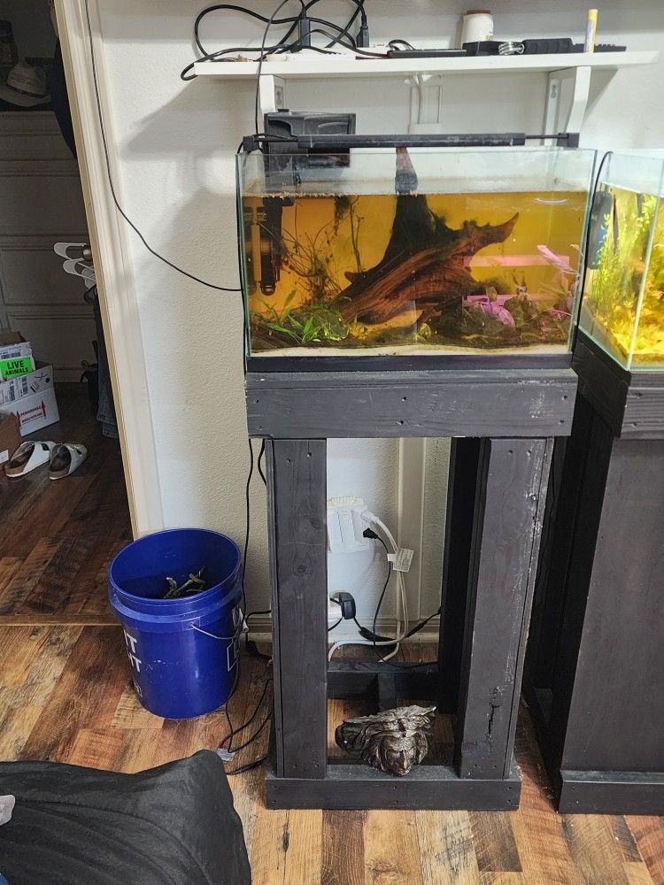 Ready To Go 10 Gallon Aquarium