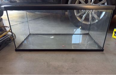 Reptile tank + accessories