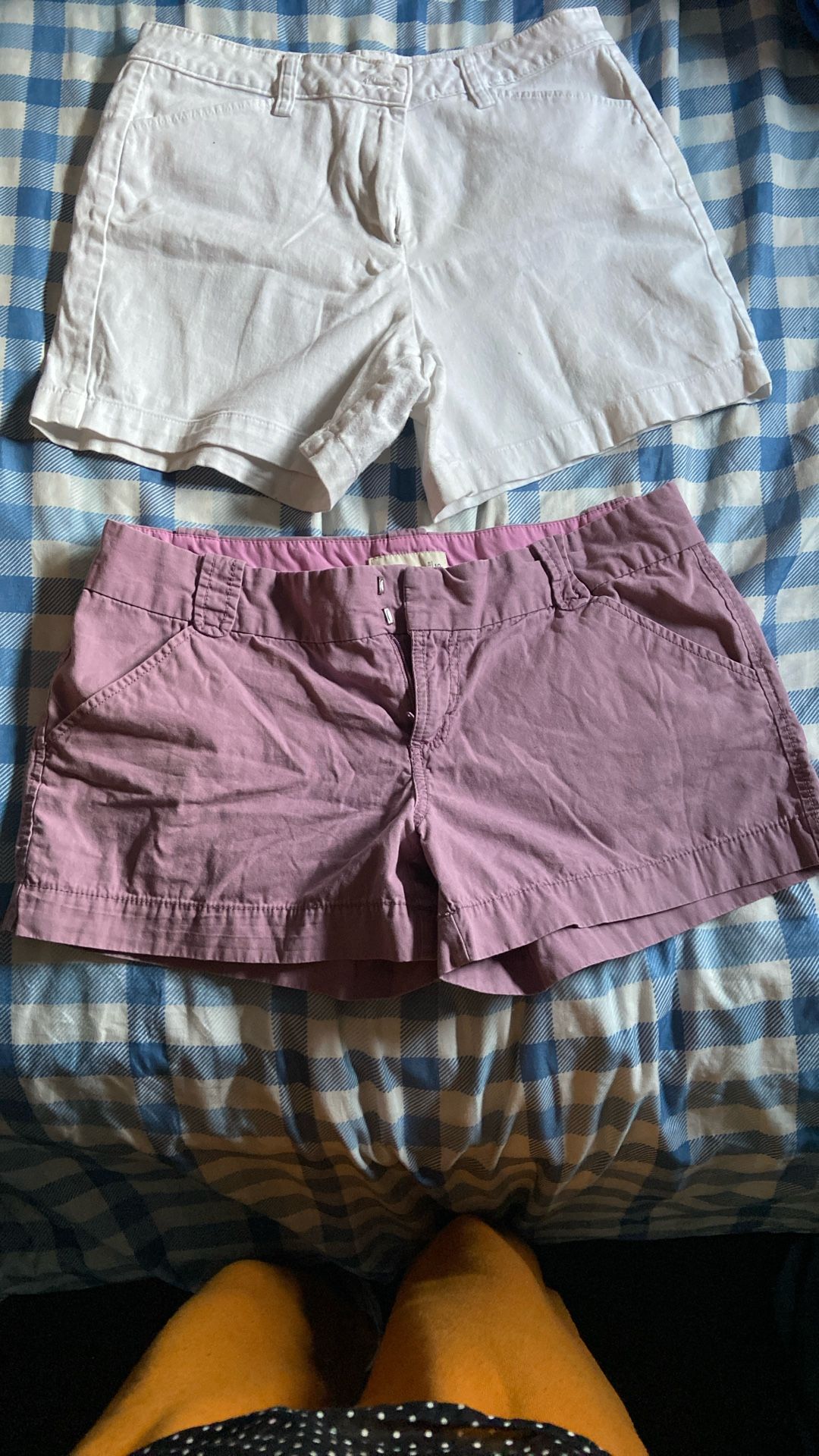 Woman’s Summer Shorts (size 10)