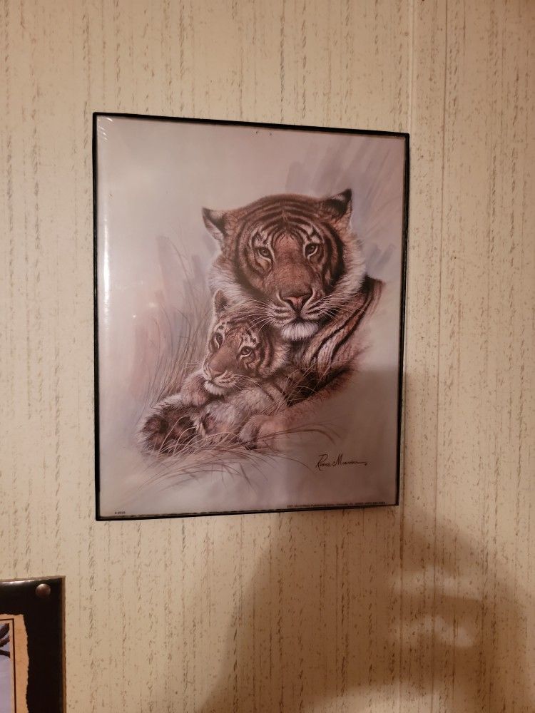 Ruane Manning Pictures 