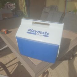 PLAYMATE BY IGLOO COOLERS 