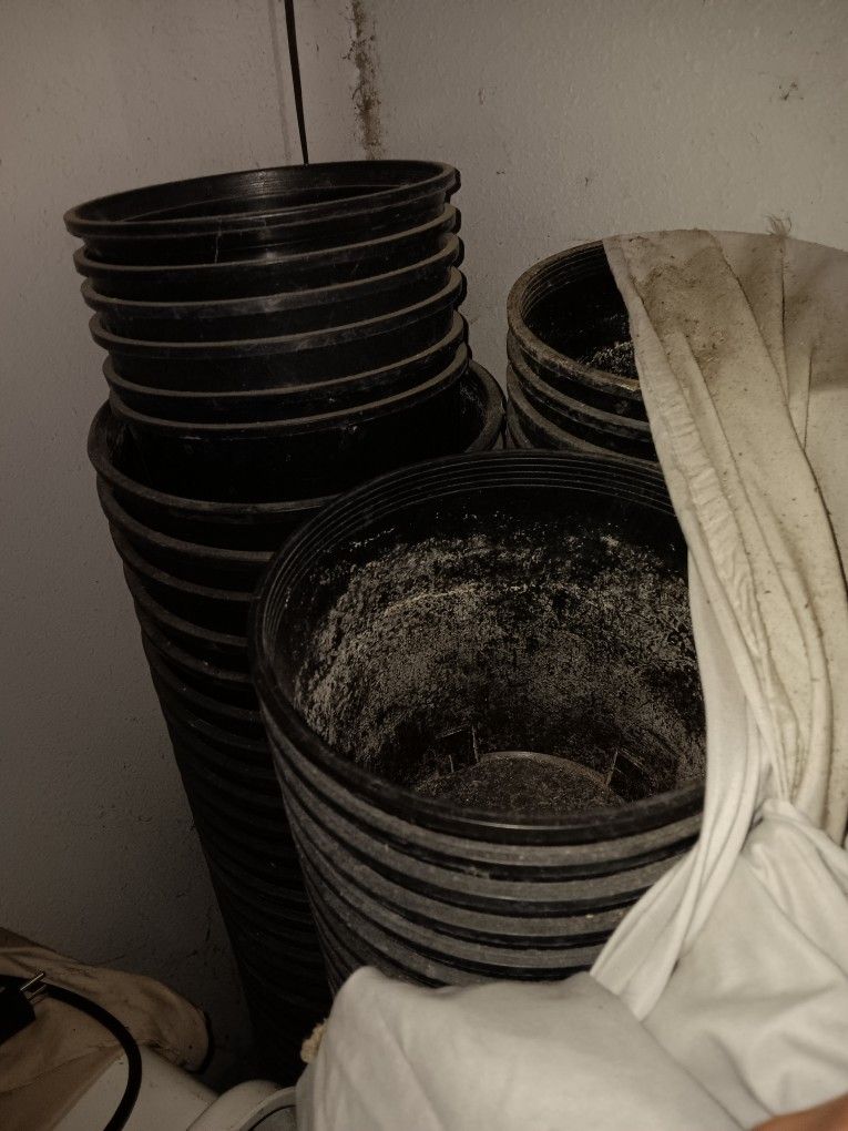 2 Gal Plastic Pots And Bamboo Sticks