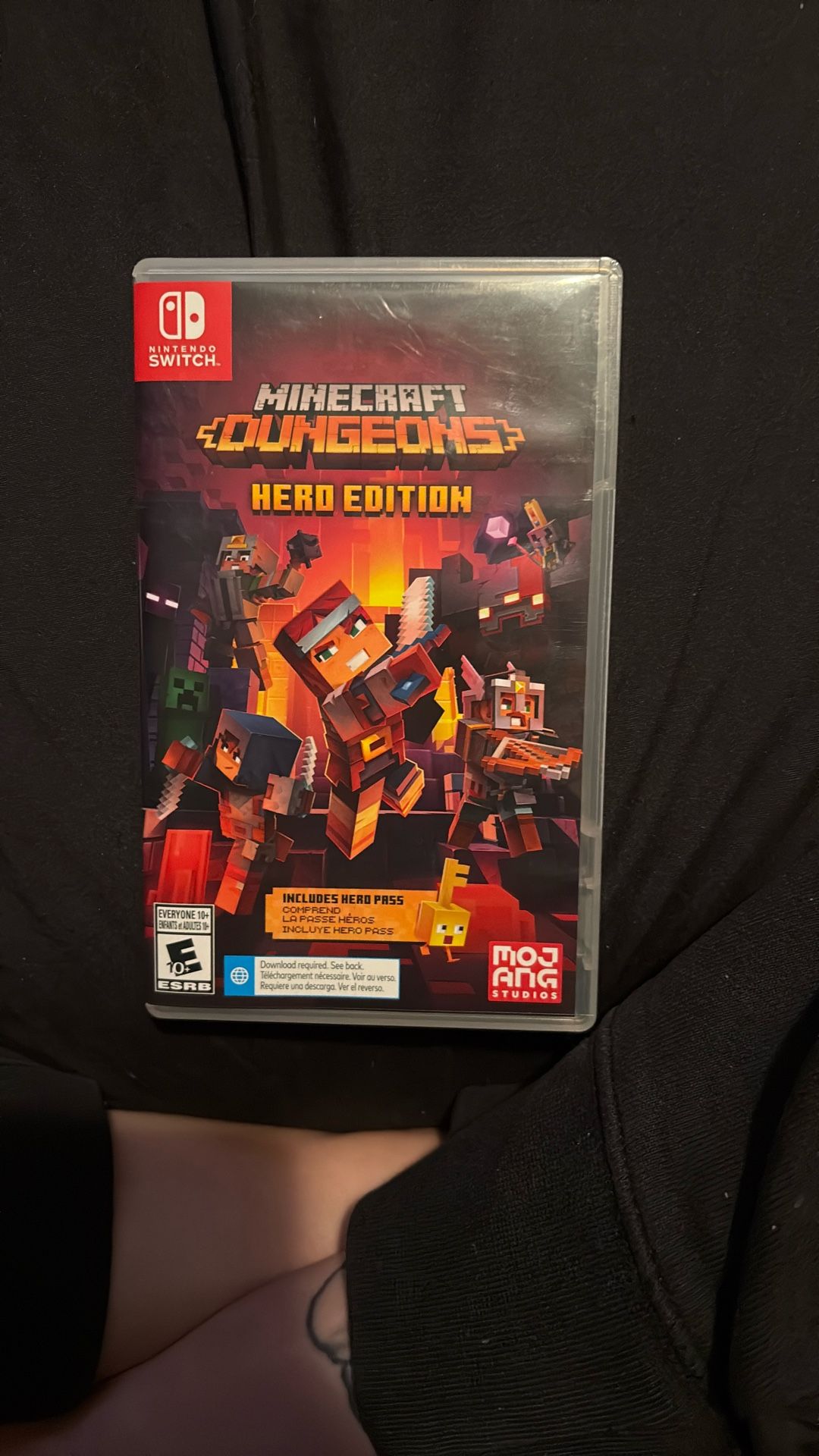Minecraft Dungeons Hero Edition