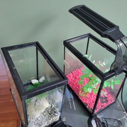 Two 2 Gallon Betta Tanks With Lights