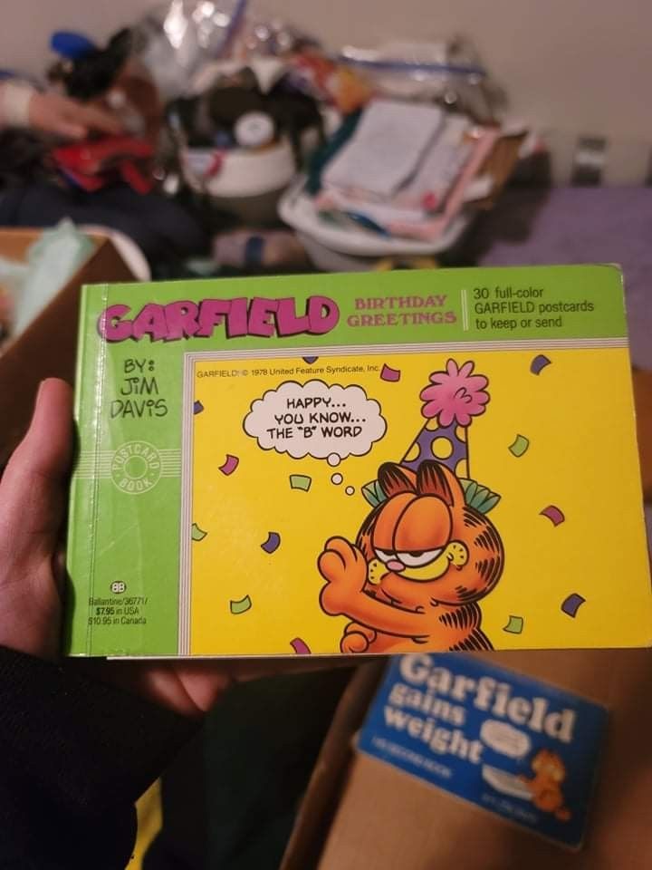 Garfield Books