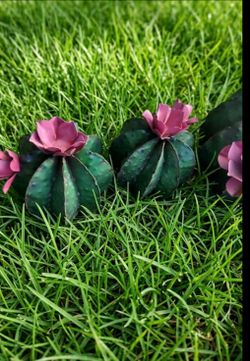 🏵️🪻Vintage Rustic Metal Barrel Cactus Family Set (4 Pieces) – Pink Flowers🏵️🌻
