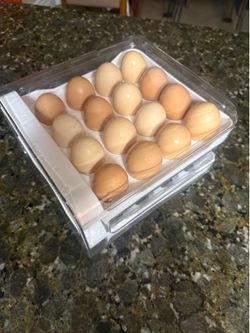 Base para huevos 32 espacios