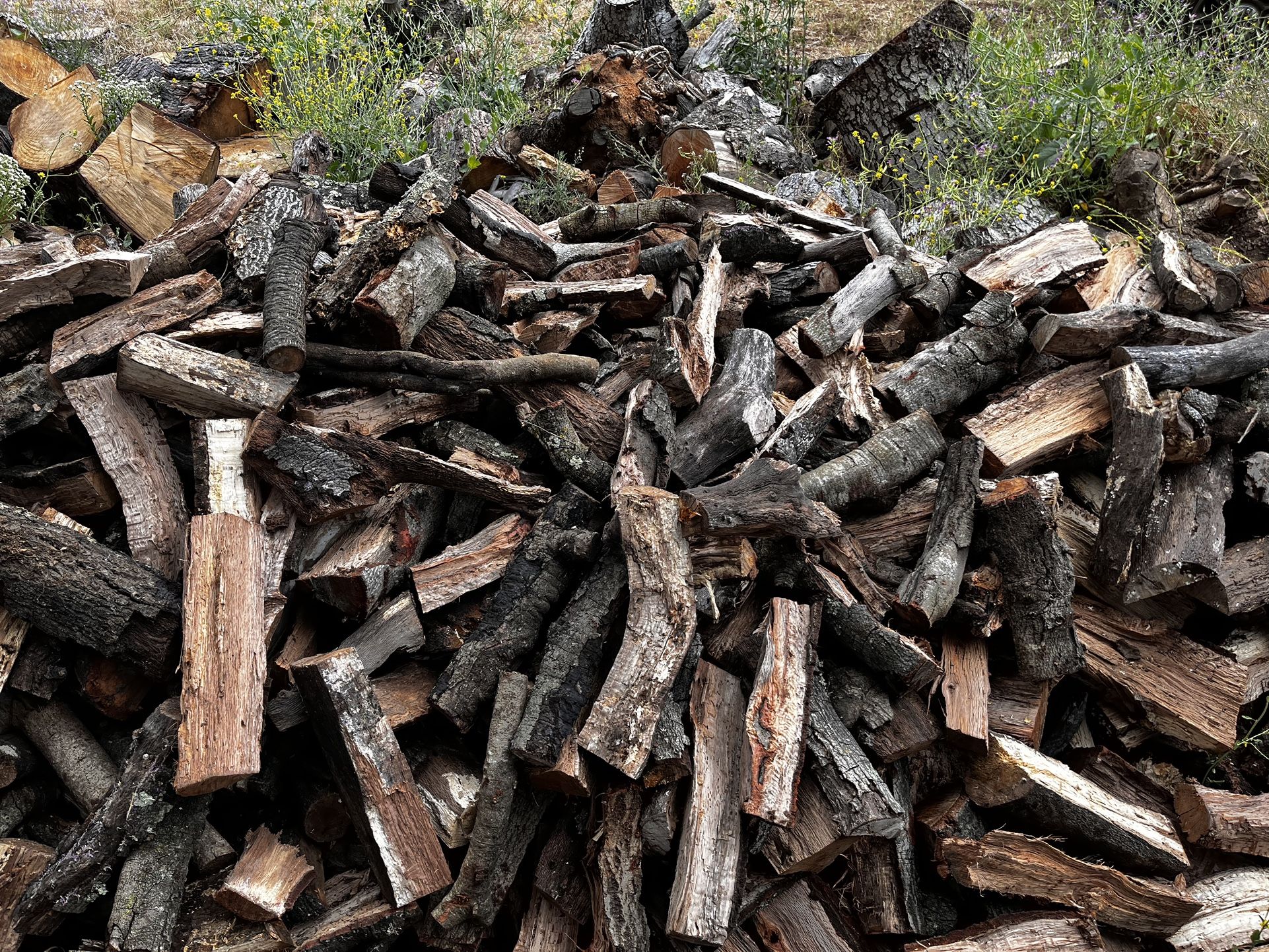 Firewood 