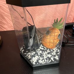 Top Fin Fish Tank 